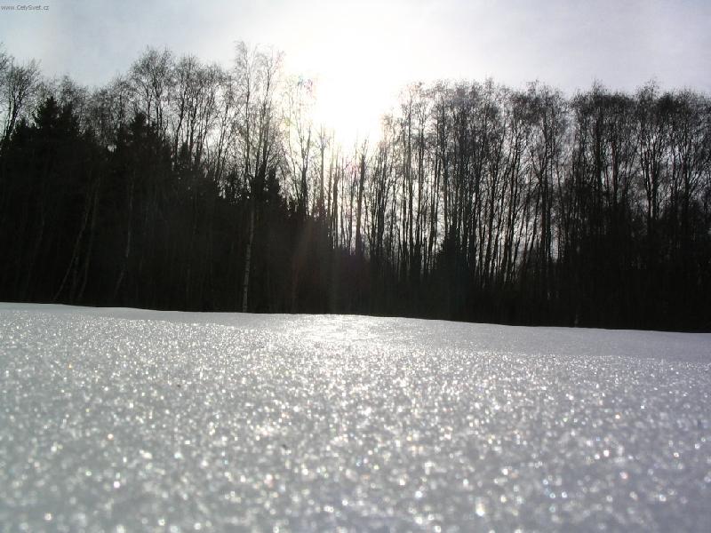 Foto: P��roda na �umav�