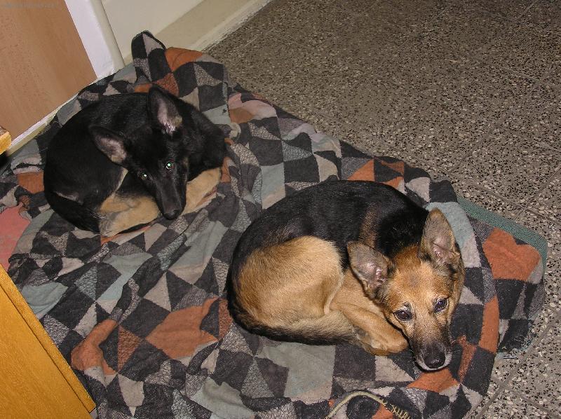 Foto: Mat�sek (10let) + Terezka (4 m�s�ce)-Synchronizovan� �nava...