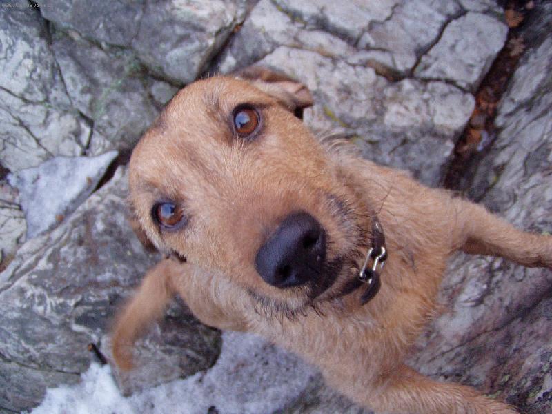 Foto: Tak u� p�jdem?