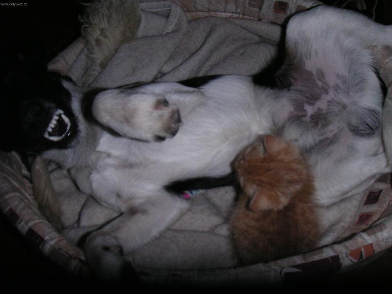 Foto: J� m�m hlad!-To asi nebude ono!?