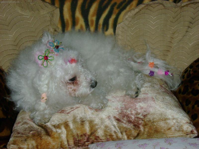 Foto: Jsem nastrojen�-Tak takhle se j� stroj�m.