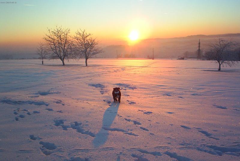 Foto: Caramelka-Caramela a jej� lump�rny na sn�hu