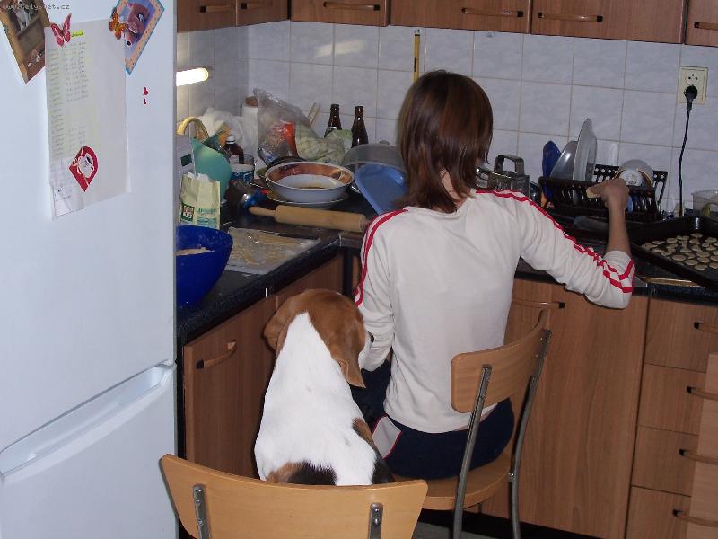 Foto: pomocn�k-takto jsmepekli cukrov�