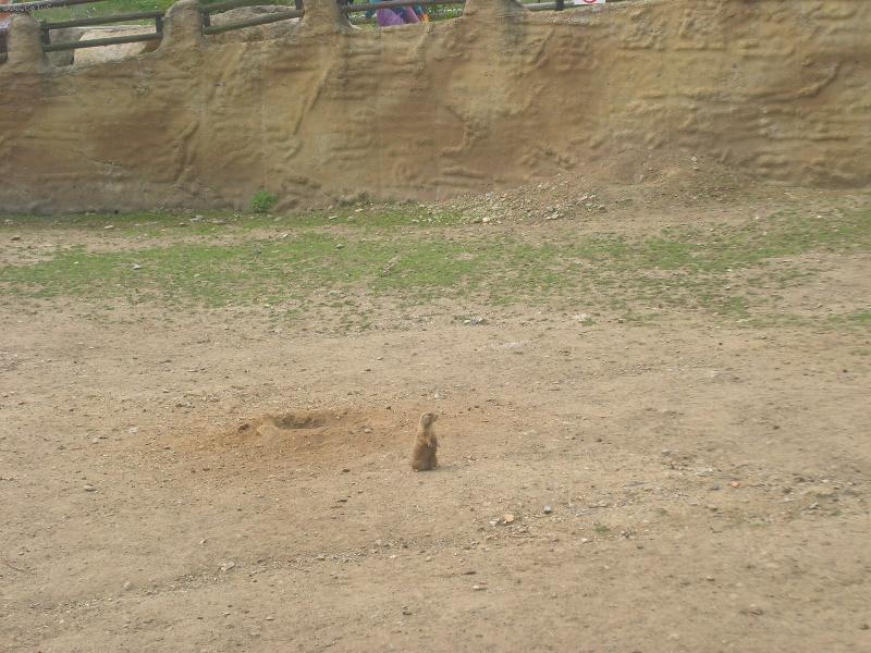 Foto: Kam jsem se to prohrabal ? Do you speak Enghlish ?