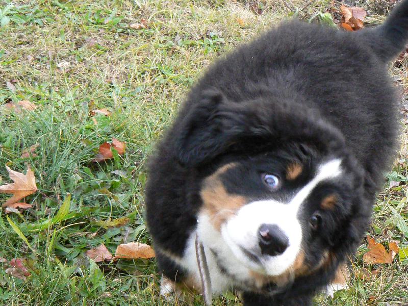 Foto: V�c u� to oko otev��t neum�m