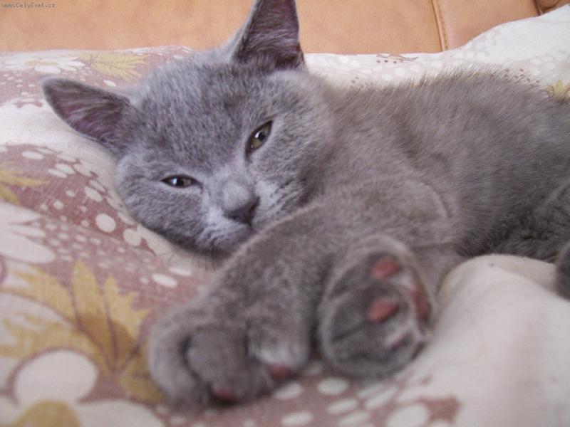 Foto: Max-neru�it,p�em��l�m:o)