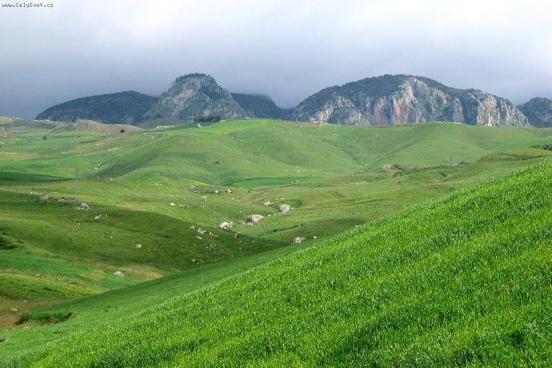 Foto: zelen� je dobr�-Sic�lie v b�eznu