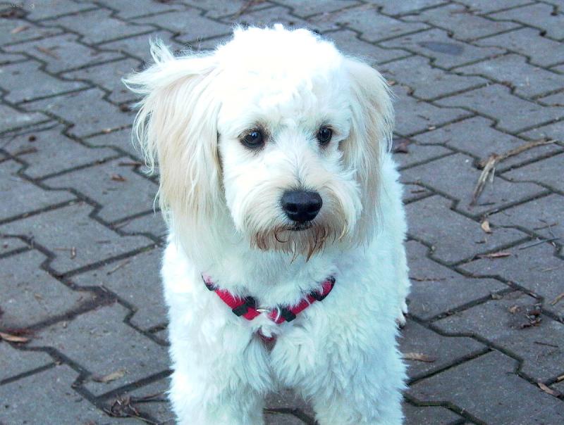 Foto: Na �ekan�.-dtto