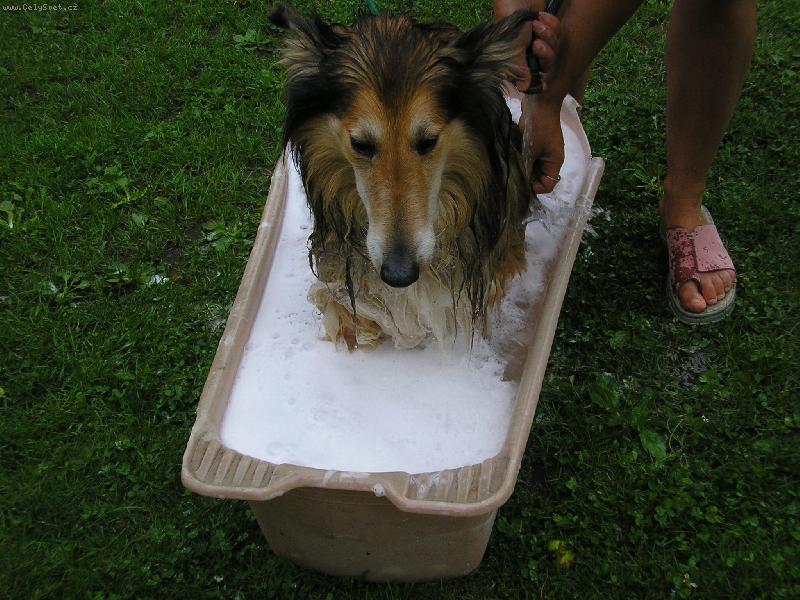 Foto: Nem�m r�d vodu