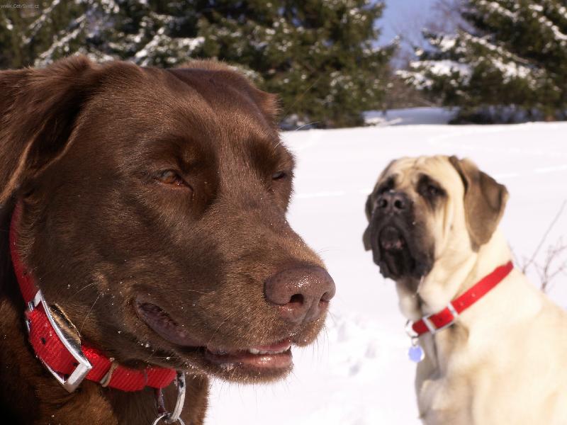 Foto: Wendy s Terezkou