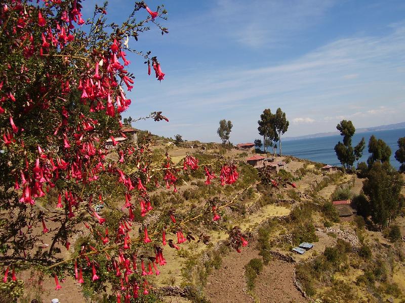 Foto: na jeze�e Titicaca