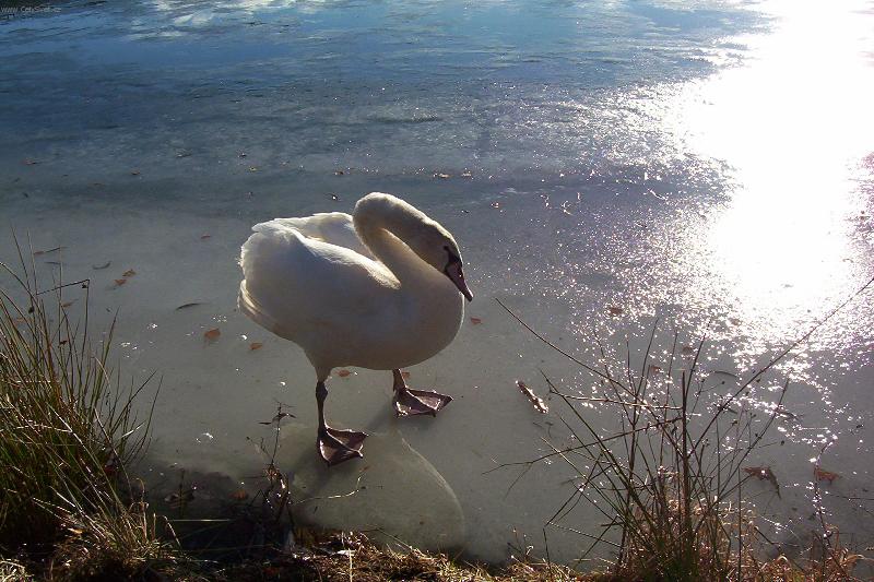 Foto: Pohled do zrcadla
