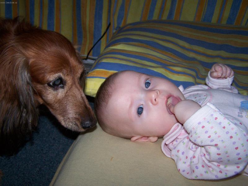 Foto: A ty jsi n�jak� nov� �t���tko?