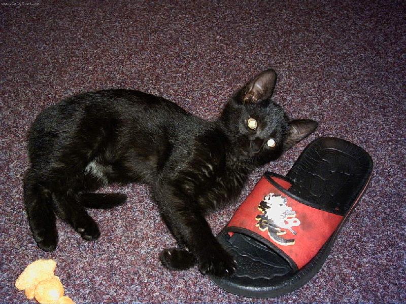 Foto: �ikina-ta boti�ka ji je asi mal� :-D