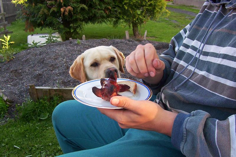 Foto: Ty mi ned� ani kousnout?