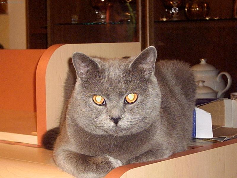 Foto: Boris-�um�m jak um�m