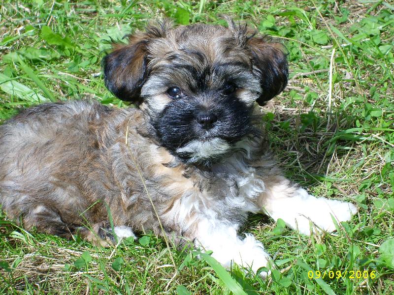 Foto: Benji-Trochu toho slun��ka neu�kod� :-)