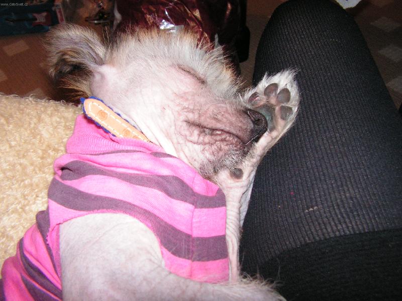 Foto: Janek-V�no�n� d�rky m� umo�ily