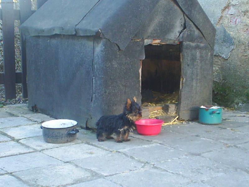 Foto: bouda u babi�ky-bouda m�ho nejlep��ho p��tele ale ne moje