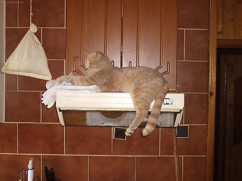 Foto: neru�it-sp�ti se d� v�ude