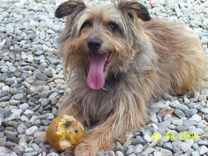 Foto: To je kr��sa.-je to bojovn�k