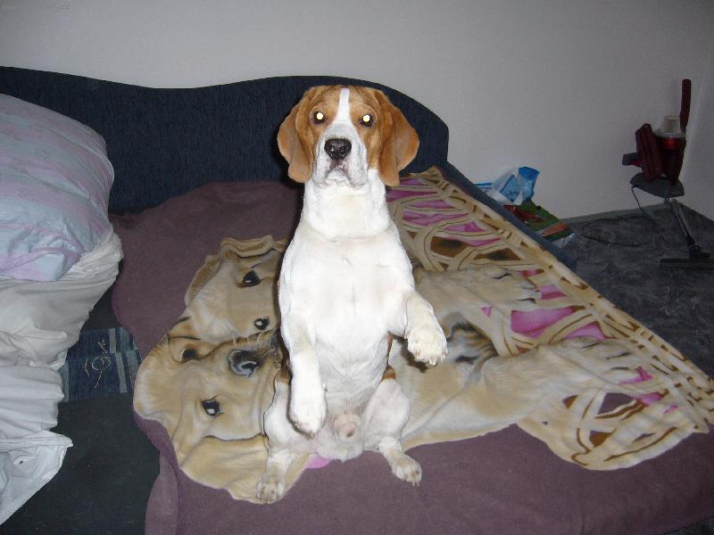 Foto: sed�t jako �lov�k u� umim, co j� d�l na seznamu?-Dal�� bod: mluvit.Tak to uk�e �as