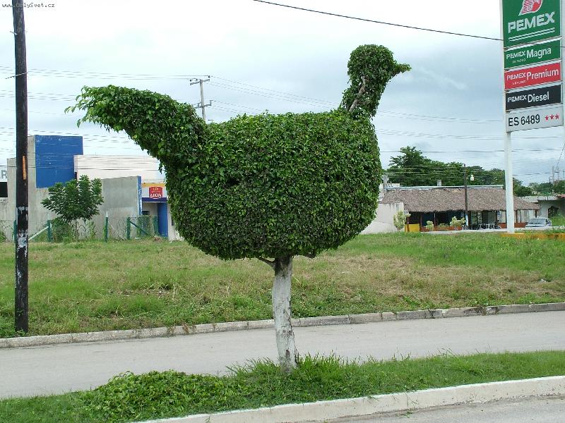 Foto: slepi�ka-foto z Austr�lie