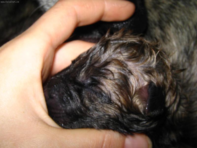 Foto: Jsem na sv�t�