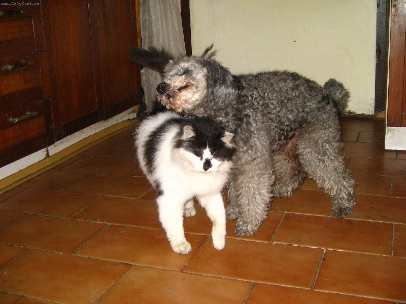 Foto: Tak r�d t� zase vid�m