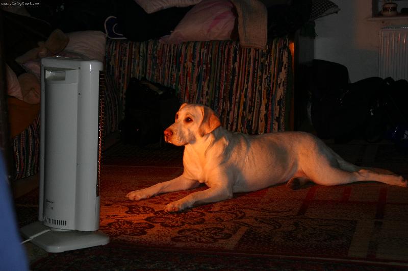 Foto: Sanny v zim�