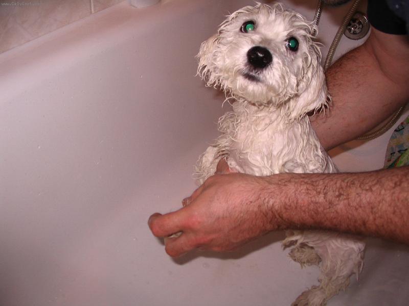 Foto: P�i prvn�m koup�n�m...-P�i koup�n� ztratil svoji image......