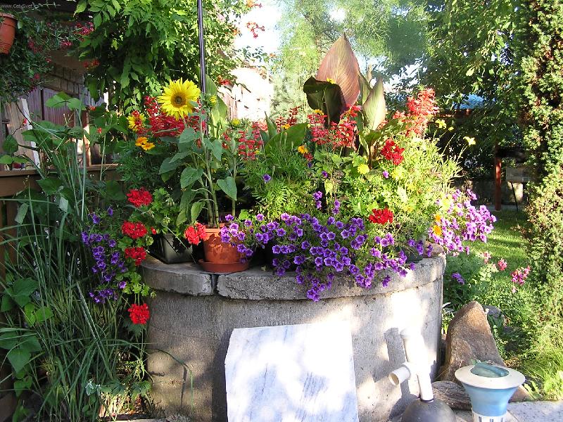 Foto: mamin�ina zahr�dka