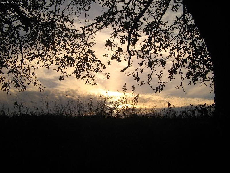 Foto: Soumrak-v lese