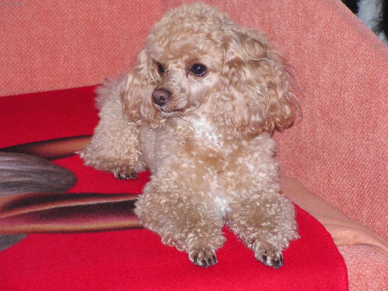 Foto: chvilka odpo�inku