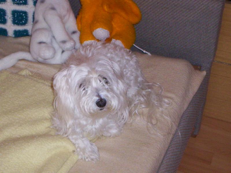 Foto: na�e Barunka