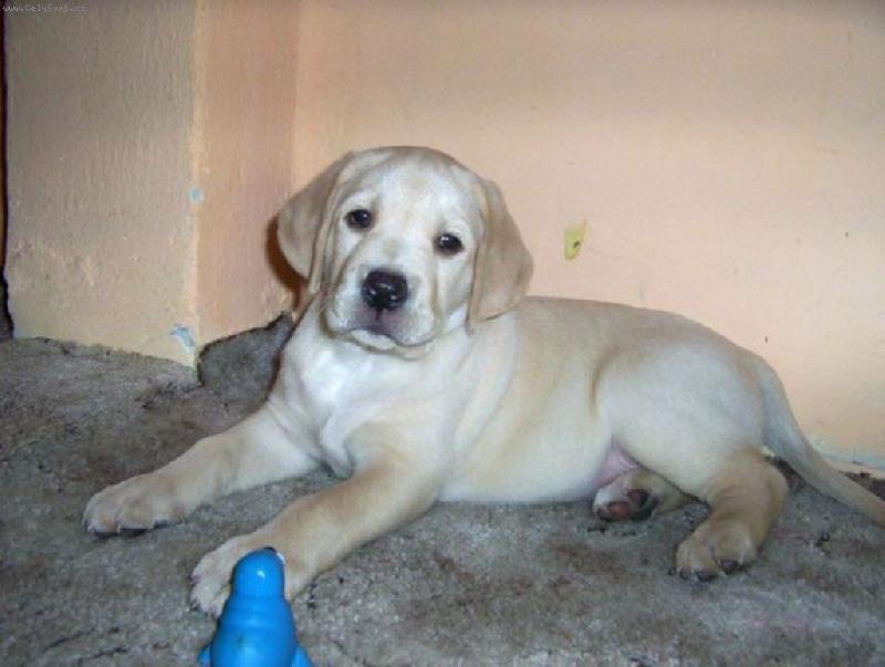 Foto: Na�e zlat��ko-Bude ze m� fotomodel?