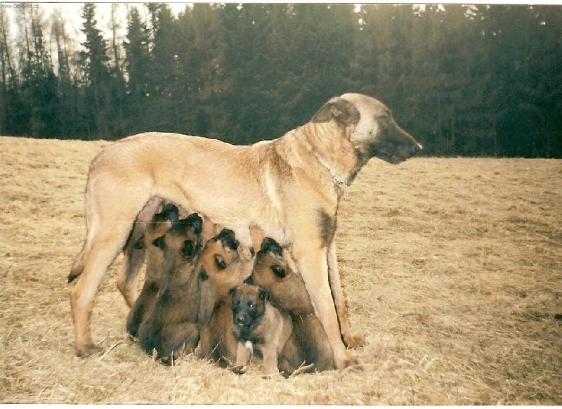 Foto: Oni mi snad nedaj pokoj.....-matka se �t��aty