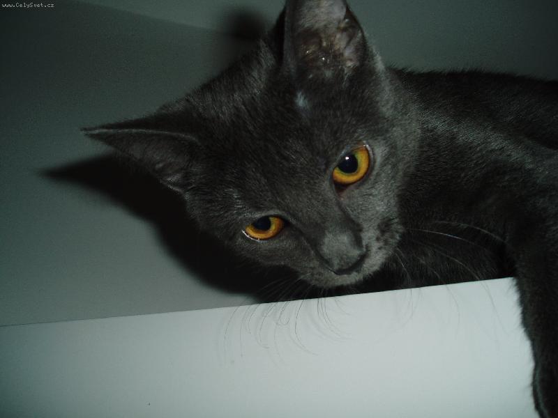 Foto: Rozhled-Vid�m v�ude