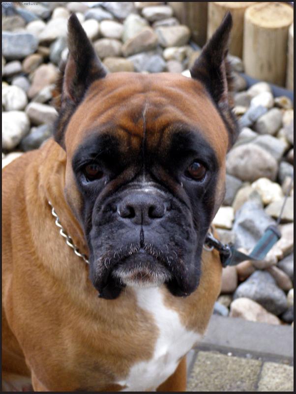 Foto: Ombudsman-P�ipom�n� mi pana doktora Motejla, kouk� z n�j moudrost.