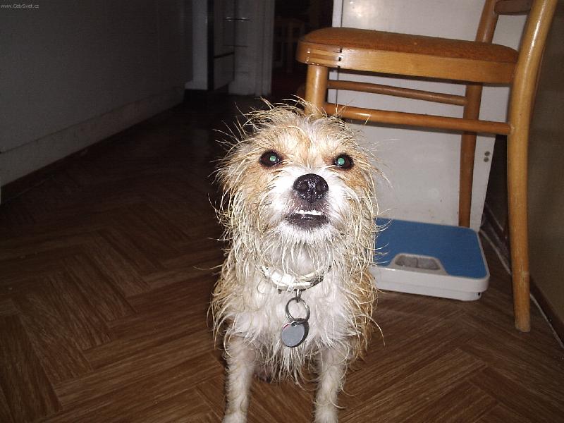 Foto: Zase jsem se namo�ila...