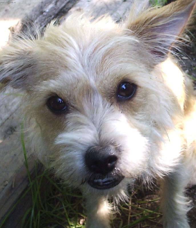 Foto: dejte mi hlas...-...nebo rad�ji bu�t?