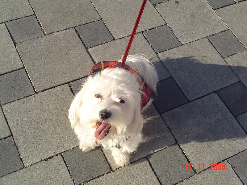 Foto: Jesen� vych�dzka