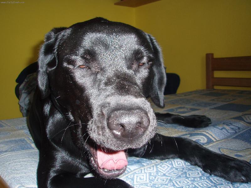 Foto: To je ale pr�a