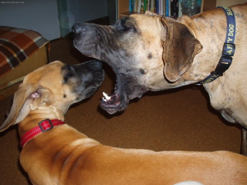 Foto: Matka domlouv� dce�i.-momentka