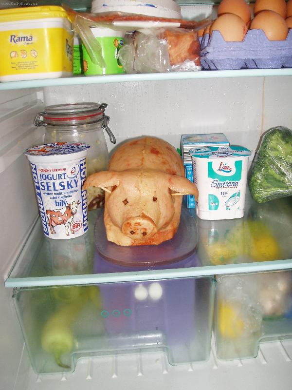 Foto: �ivo�ich v lednici-Chv�la �ezn�k�m-�unka OK!