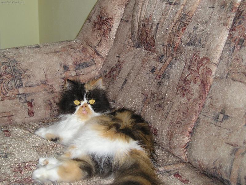 Foto: Odpo��v�m