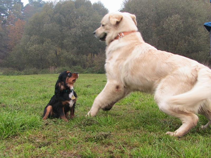 Foto: David a Goli�