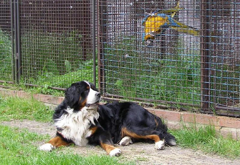 Foto: dv� drbny- no nekecej, fak jo?