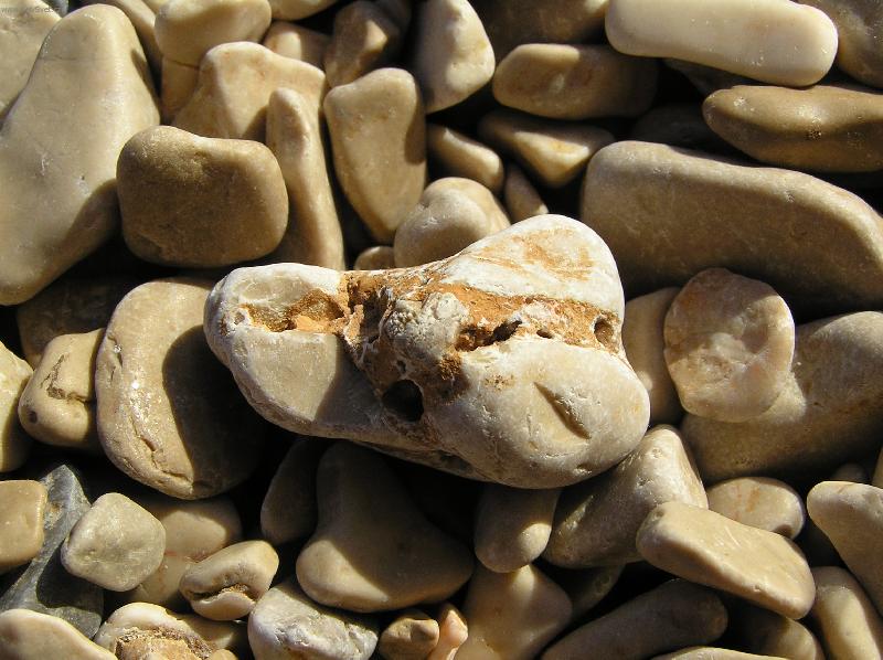 Foto: Obl�zky-Pelje�ac