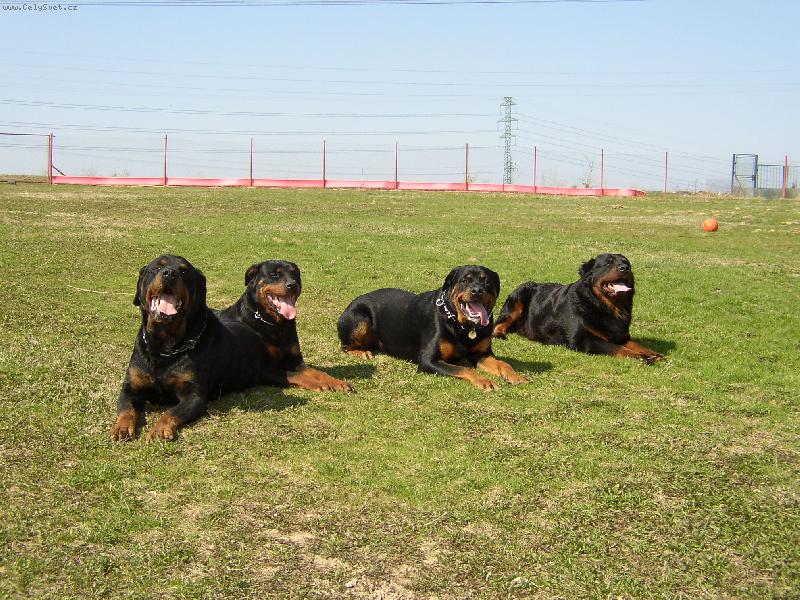 Foto: sme�ka-sme�ka